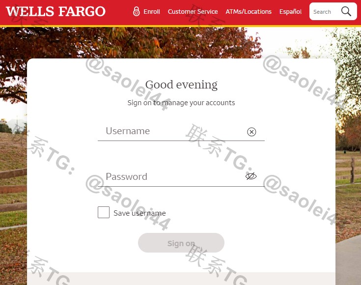 2025最新修复US美国wells fargoCVV富国银行