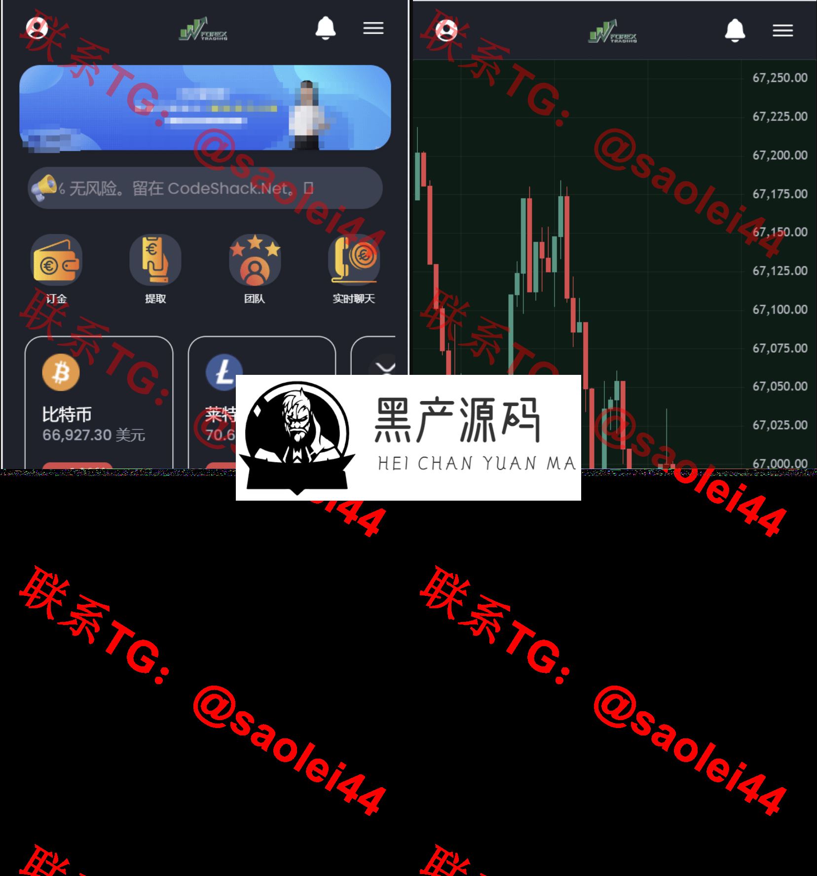 海外英文版虚拟币微交易源码/虚拟币开源系统源码_区块链源码